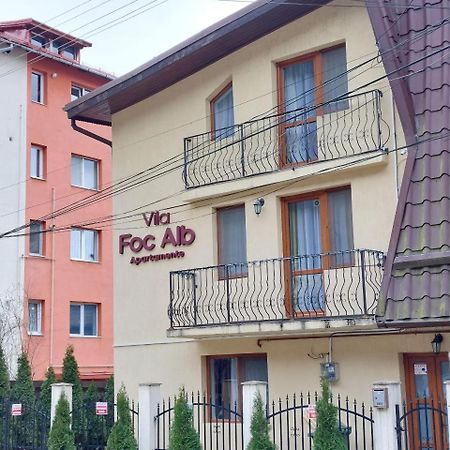 Vila Foc Alb Apartamente-Busteni Bagian luar foto