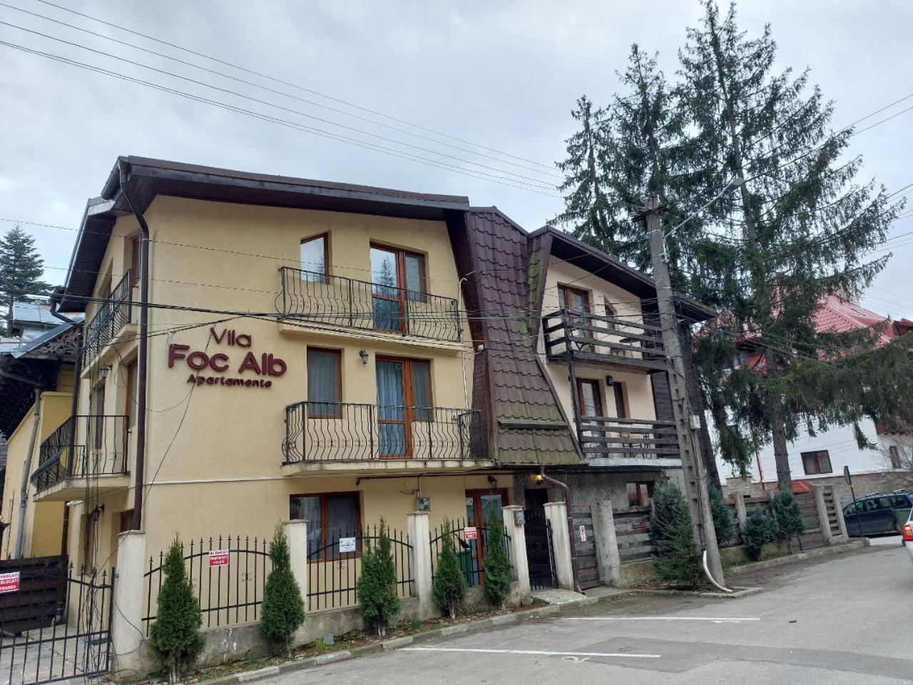 Vila Foc Alb Apartamente-Busteni Bagian luar foto