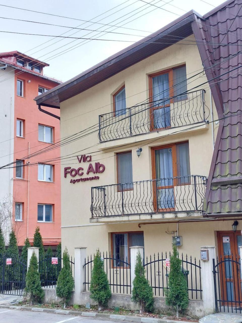 Vila Foc Alb Apartamente-Busteni Bagian luar foto