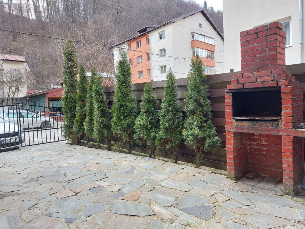 Vila Foc Alb Apartamente-Busteni Bagian luar foto